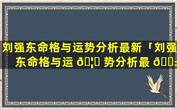 刘强东命格与运势分析最新「刘强东命格与运 🦟 势分析最 🐱 新版本」